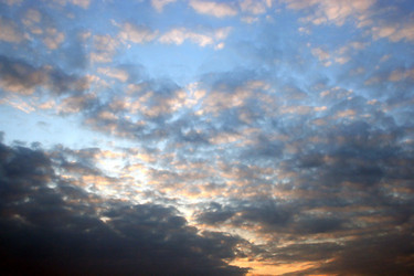 Similar image 572274