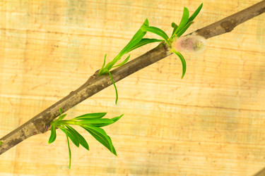 Similar image 572434