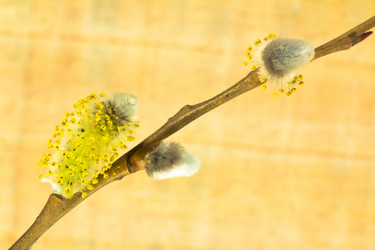 Similar image 572435