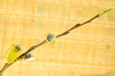 Similar image 572437