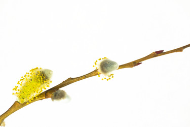 Similar image 572439