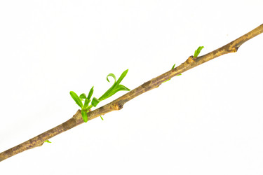 Similar image 572440