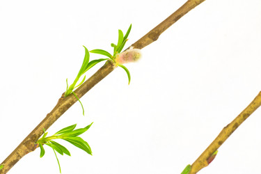 Similar image 572442