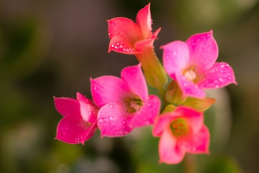 Similar image 572489