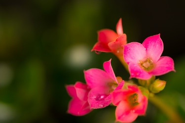 Similar image 572490