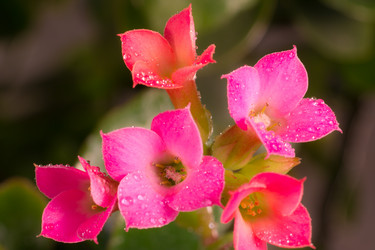 Similar image 572491