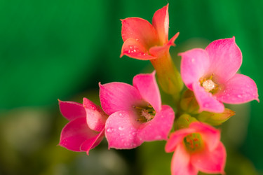 Similar image 572492