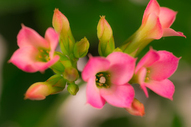 Similar image 572494