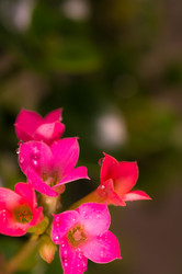 Similar image 572500