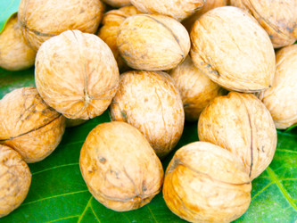 Similar image 572528