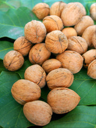 Similar image 572533