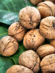 Similar image 572535