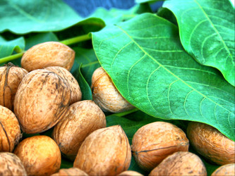 Similar image 572536