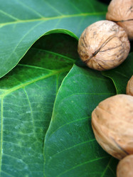 Similar image 572537