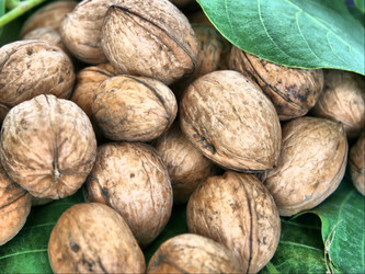 Similar image 572538