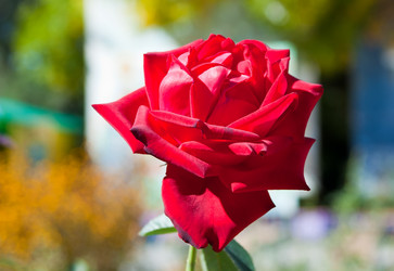 Similar image 572638