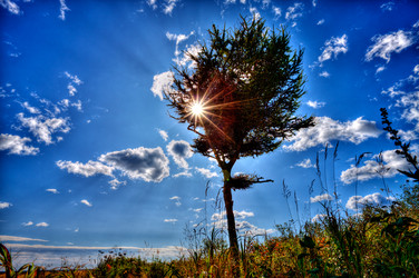 Similar image 572682