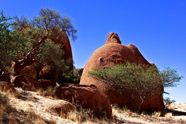 Similar image 572729