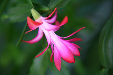 Similar image 572769