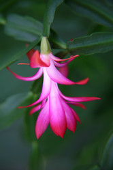 Similar image 572772