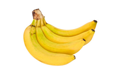 Similar image 572779