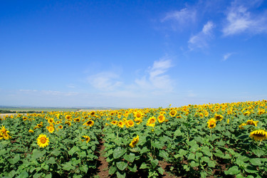 Similar image 572792