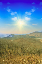 Similar image 572830