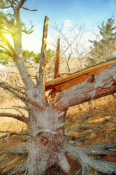 Similar image 572834