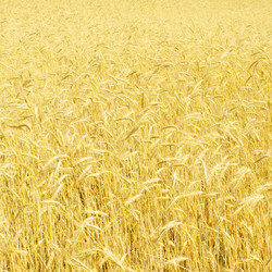 Similar image 572875