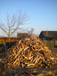 Similar image 572914