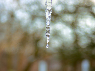 Similar image 572929