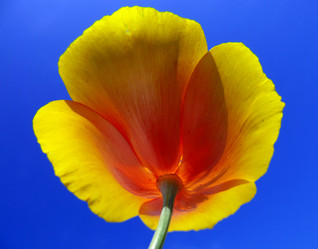 Similar image 572934