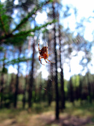 Similar image 572937