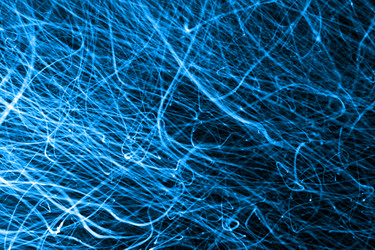 Similar image 573061