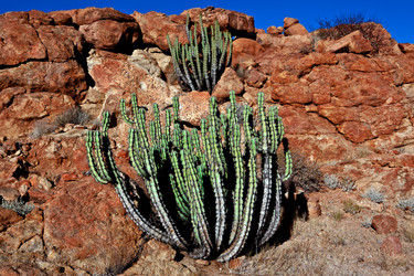 Similar image 573132