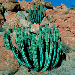 Similar image 573137