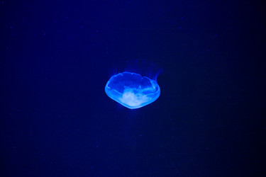 Similar image 573147