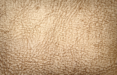 Similar image 573290