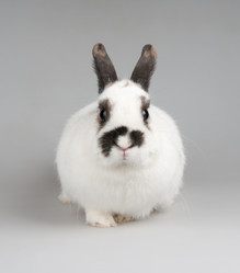 Similar image 573301