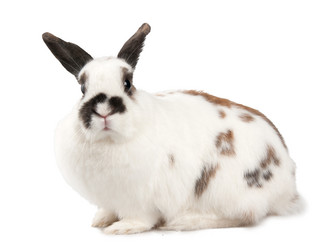 Similar image 573302