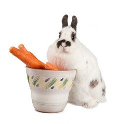 Similar image 573303