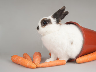 Similar image 573306