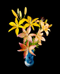 Similar image 573324