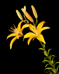 Similar image 573328