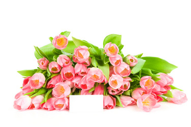 Similar image 573339