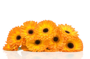 Similar image 573352