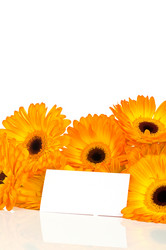 Similar image 573359