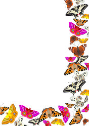 Similar image 573429