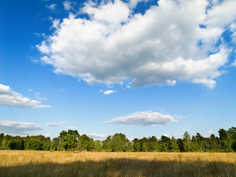 Similar image 573497