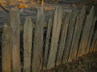 Similar image 573584